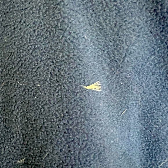 Gap blue jacket 5 year toddler - Picture 5 of 5